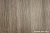 MOUNTAIN_LARCH_FINO_SM.jpg