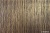 SEAGRASS_SM.jpg